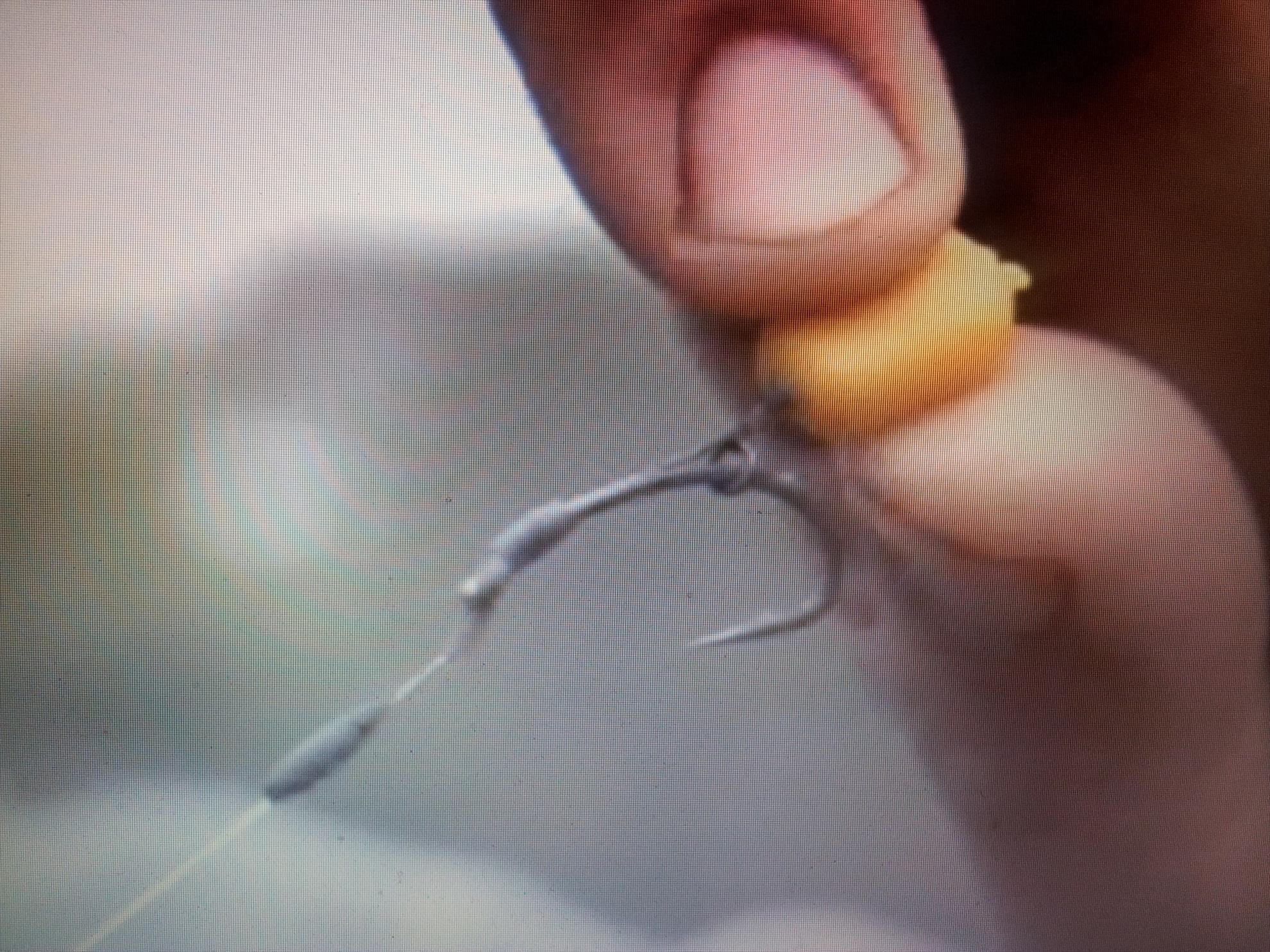 Monturi - 20130123212803.jpg